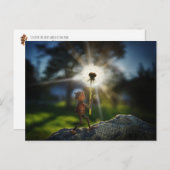 Carte Postale Un elfe d'maïs avec le pissenlit léger (Devant / Derrière)