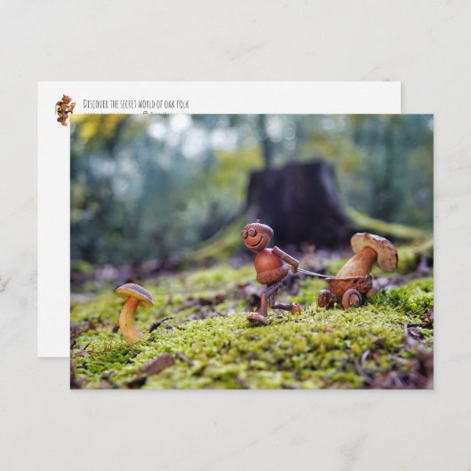 Carte Postale Un elfe d'maïs portant un champignon dans une peti (Devant / Derrière)