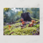 Carte Postale Un elfe d'maïs portant un champignon dans une peti (Devant)