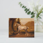Carte Postale Un étalon gris dans un paysage par George Stubbs (Debout devant)