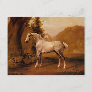 Carte Postale Un étalon gris dans un paysage par George Stubbs