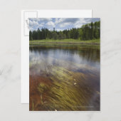 Carte Postale Un Étang Qui Reflète Les Nuages (Devant / Derrière)