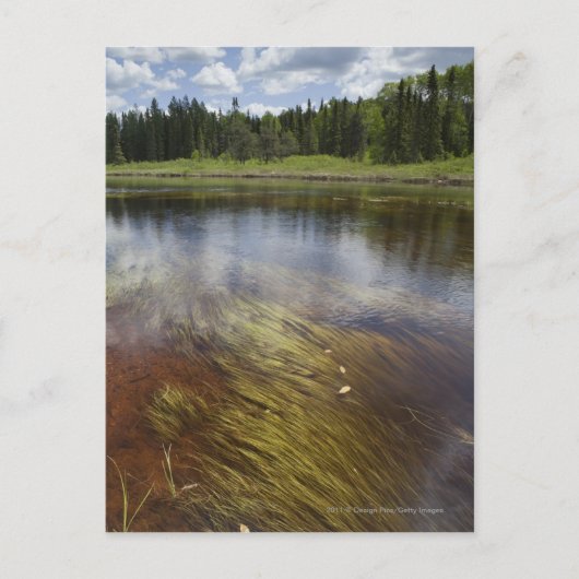 Carte Postale Un Étang Qui Reflète Les Nuages (Devant)