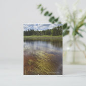 Carte Postale Un Étang Qui Reflète Les Nuages (Debout devant)