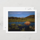 Carte Postale "Un été à Teton" (Devant / Derrière)