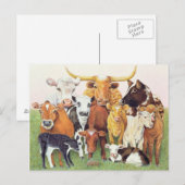 Carte Postale Un étranger surprenant (Devant / Derrière)