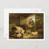 Carte Postale Un garçon regardant dans une étable de porc, 1794 (Devant / Derrière)