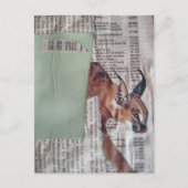 Carte Postale Un grand collage mixte de Kitty cool (Devant)