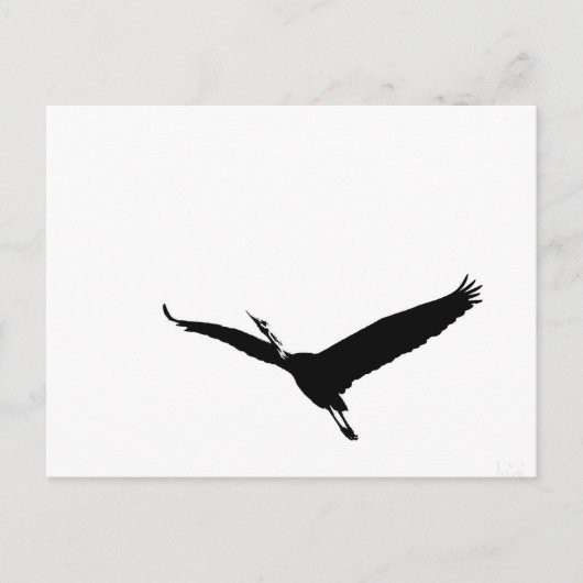 Carte Postale Un grand héron volant (Devant)