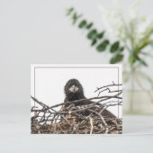 Carte Postale Un grand nouveau monde (Debout devant)