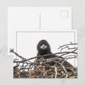 Carte Postale Un grand nouveau monde (Devant / Derrière)