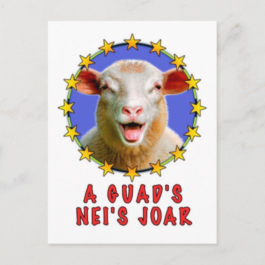 Carte Postale Un guad neis Johr (Devant)