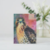 Carte Postale Un Hawk (Debout devant)