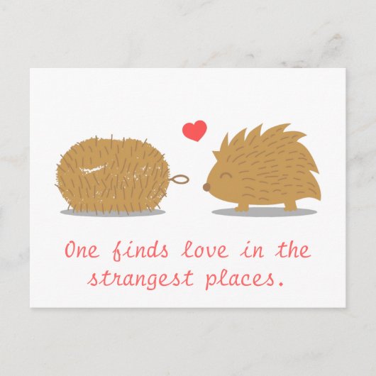 Carte Postale Un hérisson mignon trouve son véritable amour dans (Devant)