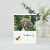 Carte Postale Un héron vert (Debout devant)