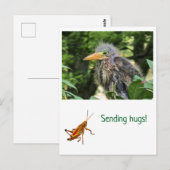 Carte Postale Un héron vert (Devant / Derrière)