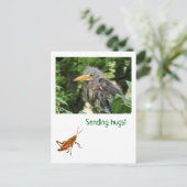 Carte Postale Un héron vert (Debout devant)