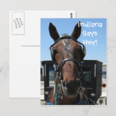 Carte Postale Un Hey Indiana ! (Devant / Derrière)