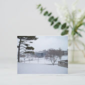 Carte Postale Un hiver Syracuse (Debout devant)