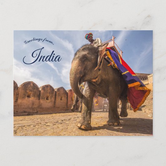 Carte Postale Un Homme À L'Éléphant Au Palais De L'Ambre Jaipur (Devant)