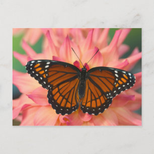 Carte Postale Un imitateur du monarque papillon