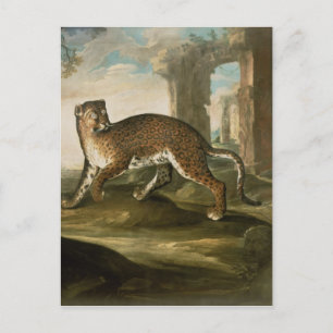 Carte Postale Un Jaguar