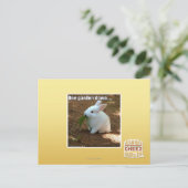 Carte Postale Un jardin � (Debout devant)