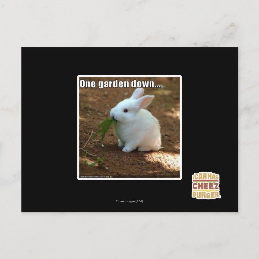 Carte Postale Un jardin � (Devant)