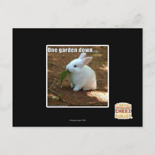 Carte Postale Un jardin �