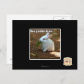 Carte Postale Un jardin � (Devant / Derrière)