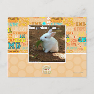 Carte Postale Un jardin de moins