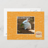 Carte Postale Un jardin Down� (Devant / Derrière)