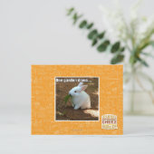 Carte Postale Un jardin Down� (Debout devant)