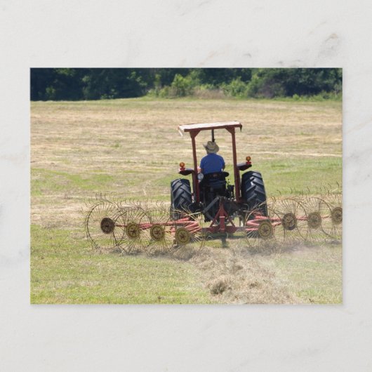 Carte Postale Un jeune garçon conduisant un tracteur récoltant (Devant)