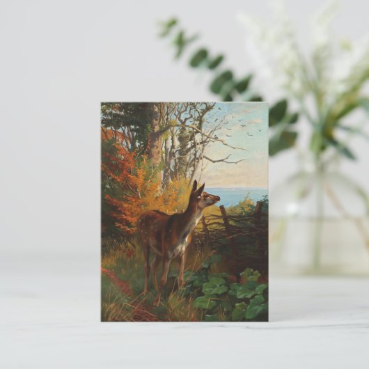 Carte Postale Un Joli Cerf Dans La Forêt (Debout devant)