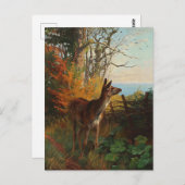 Carte Postale Un Joli Cerf Dans La Forêt (Devant / Derrière)