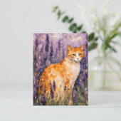 Carte Postale Un joli chat gingembre dans un champ de lavande (Debout devant)