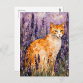 Carte Postale Un joli chat gingembre dans un champ de lavande (Devant / Derrière)