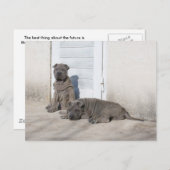 Carte Postale Un Jour À La Fois... (Devant / Derrière)