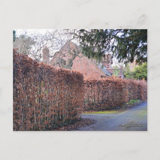 Carte Postale Un jour d'automne (Devant)