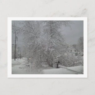 Carte Postale Un jour d'hiver triste