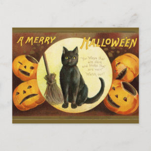 Carte Postale Un joyeux Hallowe en Chat noir Citrouilles Vintage