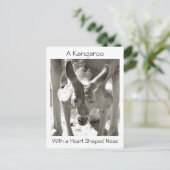 Carte Postale Un Kangourou avec un nez en forme de coeur (Debout devant)