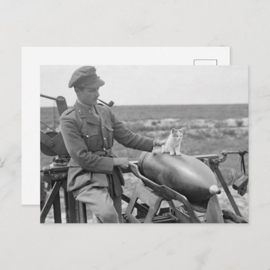 Carte Postale Un Kitty en guerre (Devant / Derrière)