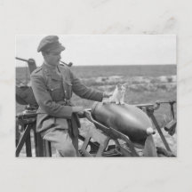 Un Kitty en guerre