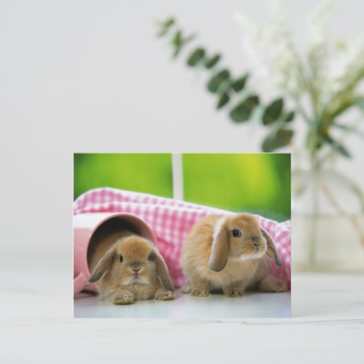 Carte Postale Un Lapin M'Aime (Debout devant)