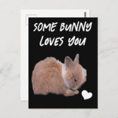 Carte Postale Un Lapin T'Aime (Devant / Derrière)