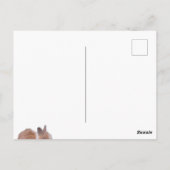 Carte Postale Un Lapin T'Aime (Dos)