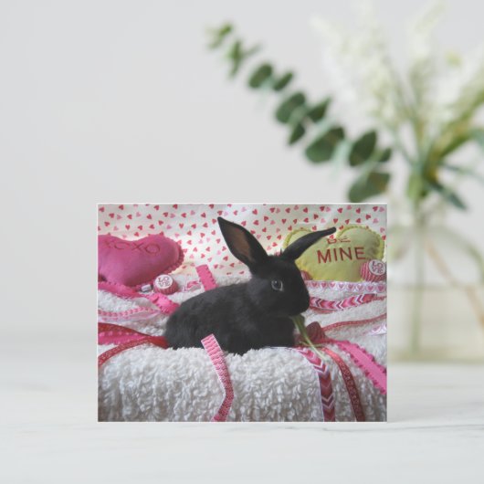 Carte Postale Un Lapin T'Aime ! (Debout devant)
