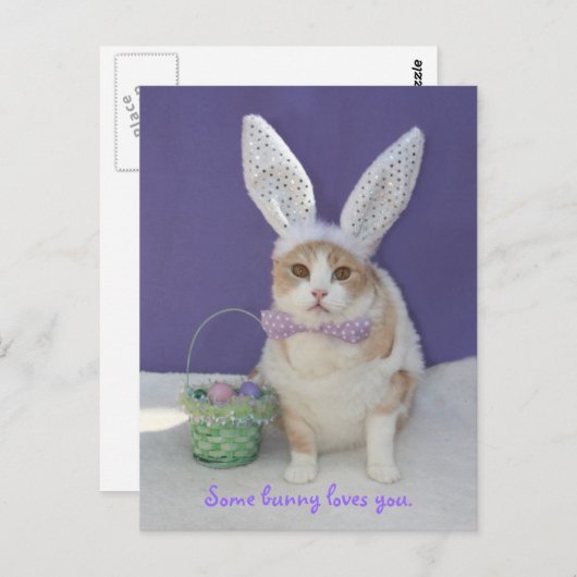 Carte Postale Un lapin t'aime. (Devant / Derrière)